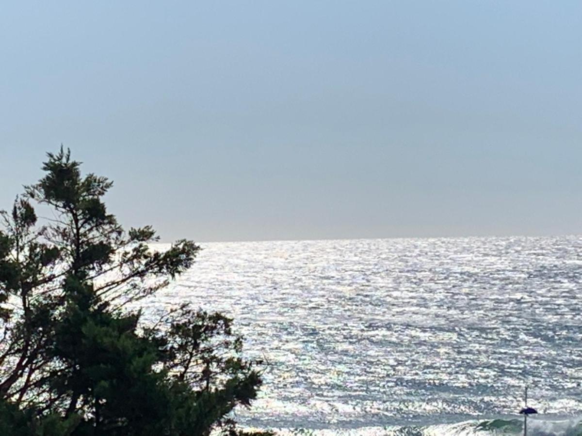 Magnifique Vue Mer 索塞莱潘 外观 照片